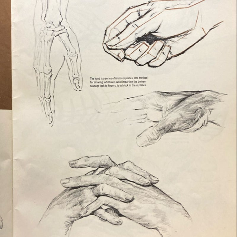 The art of drawing Heads and Hands