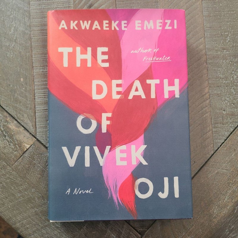 The Death of Vivek Oji