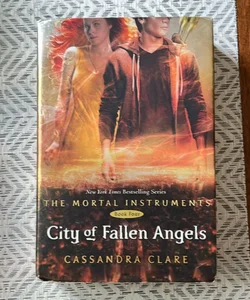 City of Fallen Angels