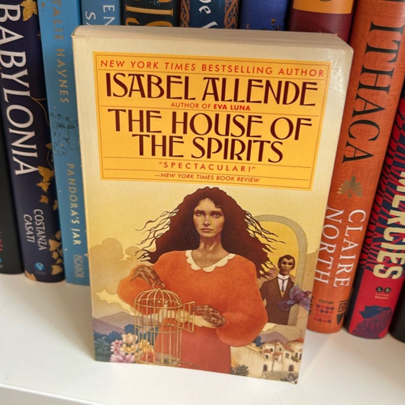 The House of the Spirits