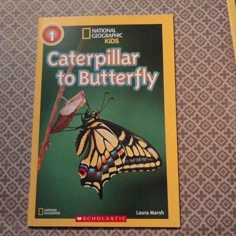 Lot of 4 National Geographic Kids I Can Read Level 1 Books