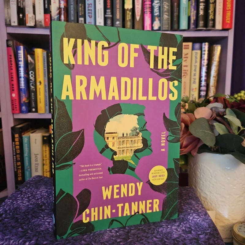 King of the Armadillos - ARC