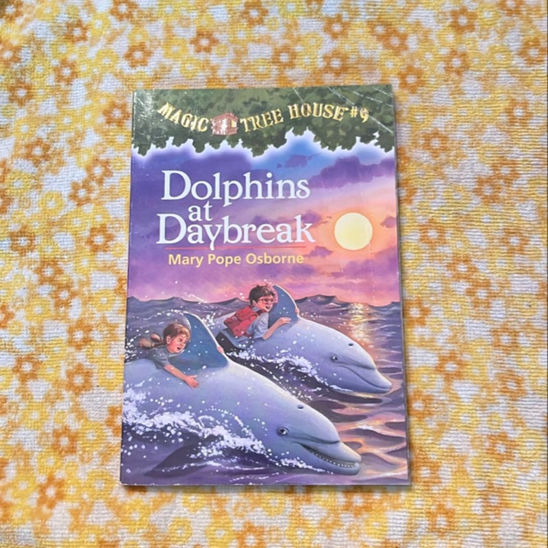 Dolphins at Daybreak