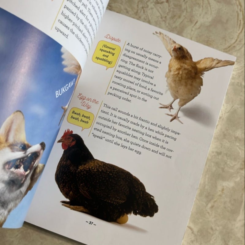How to Speak Chicken
