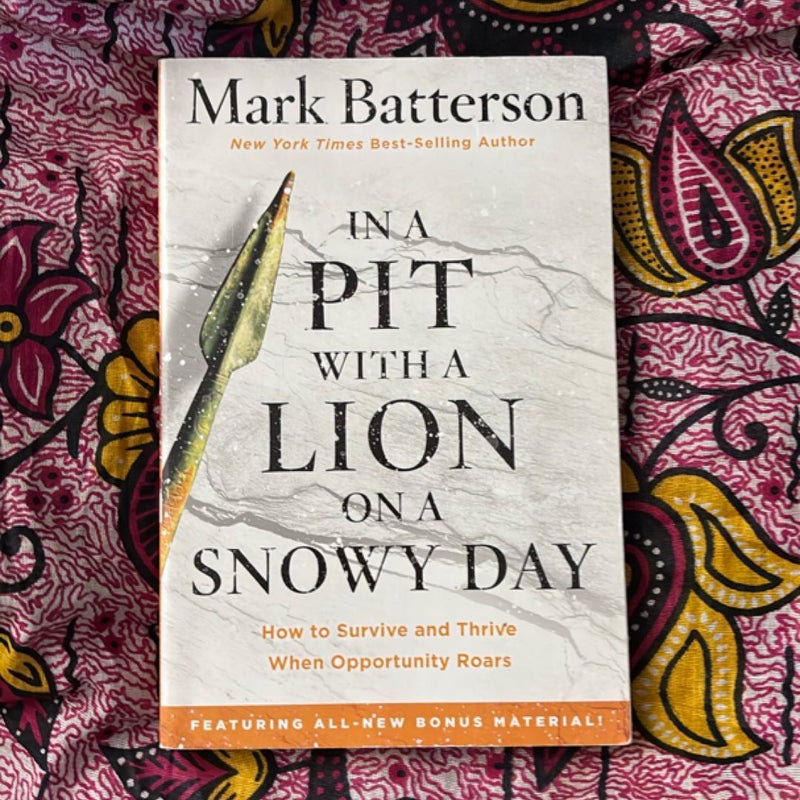 In a Pit with a Lion on a Snowy Day
