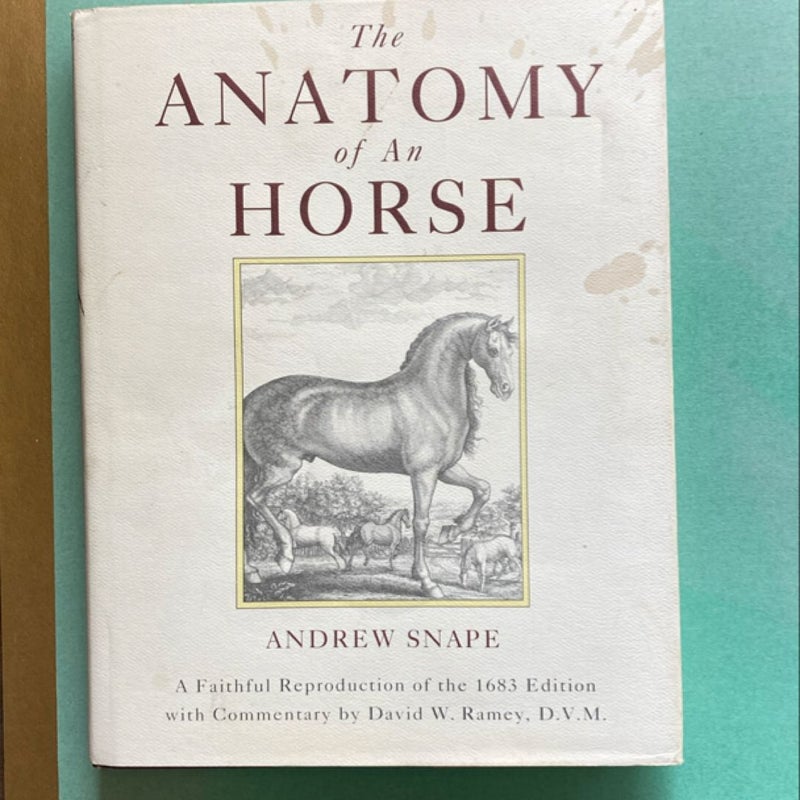 The Anatomy of An Horse