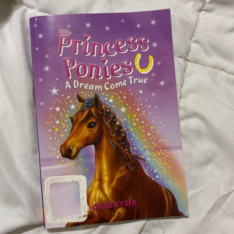 Princess Ponies A Dream Come True