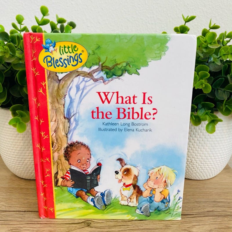 What Is the Bible?