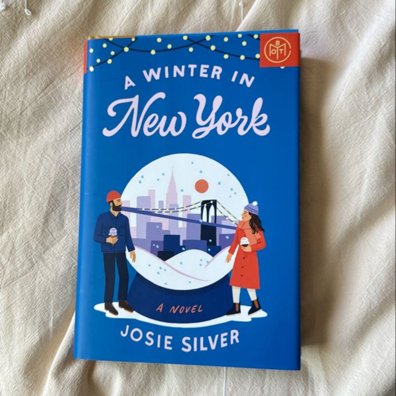 A Winter in New York