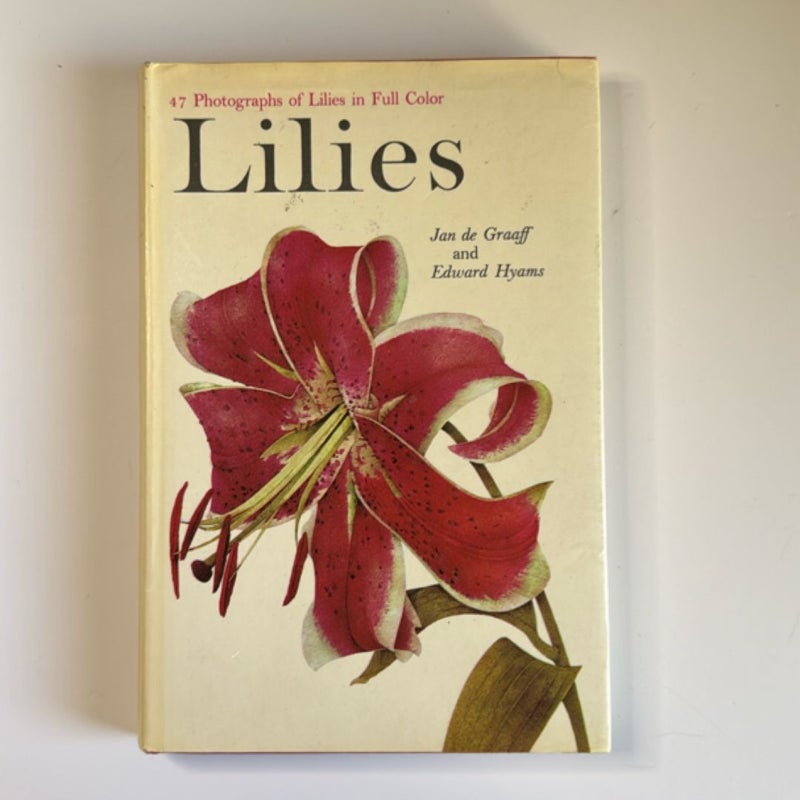 Lilies