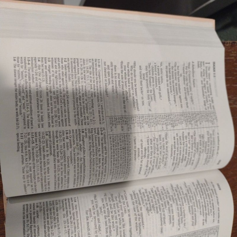 Niv study Bible