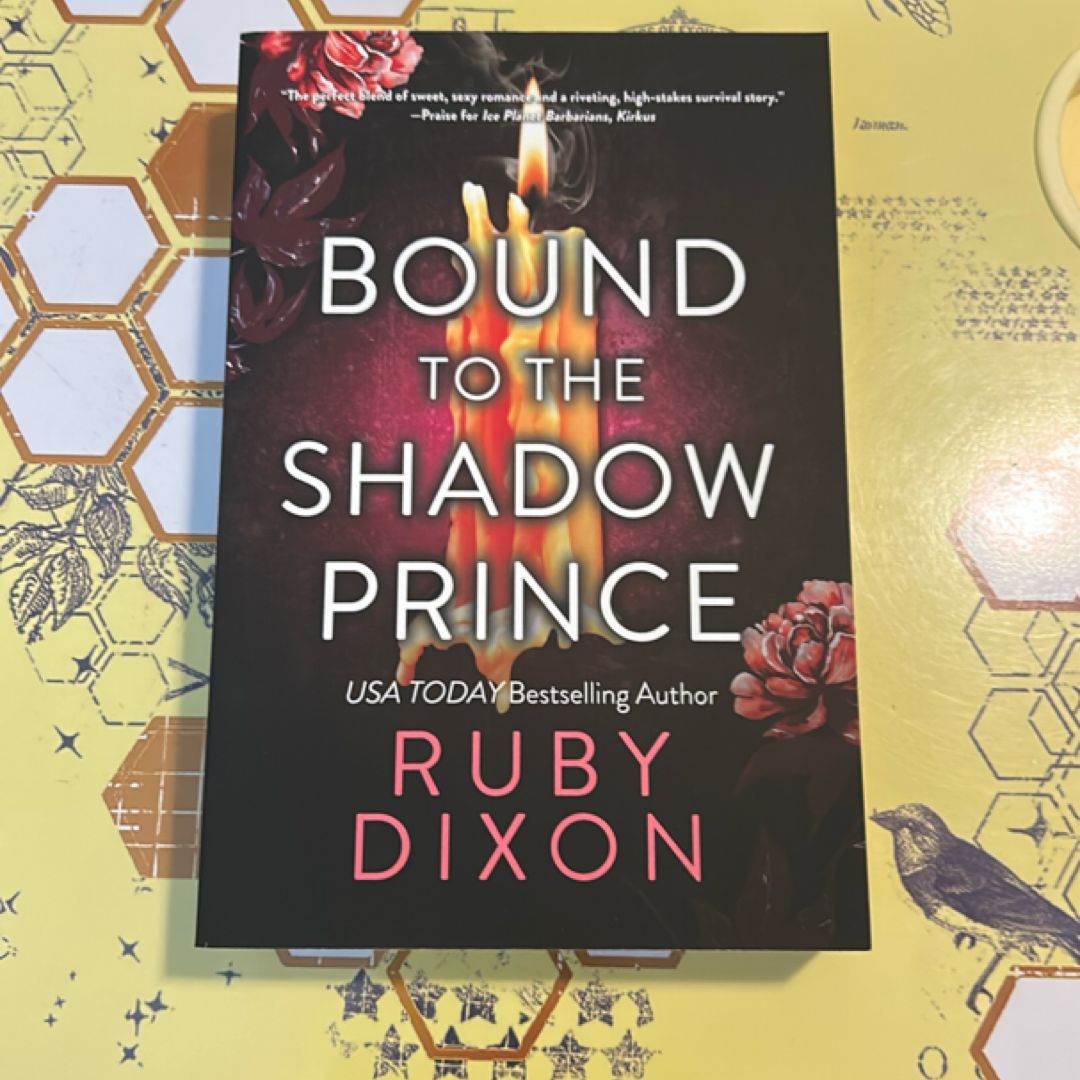 Bound to the Shadow Prince