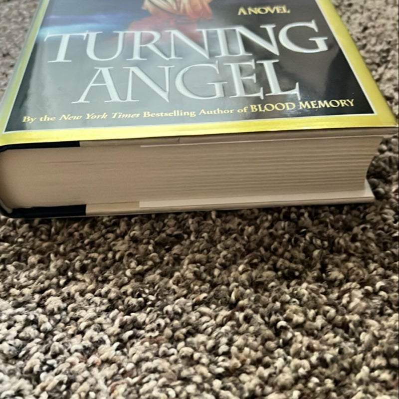 Turning Angel