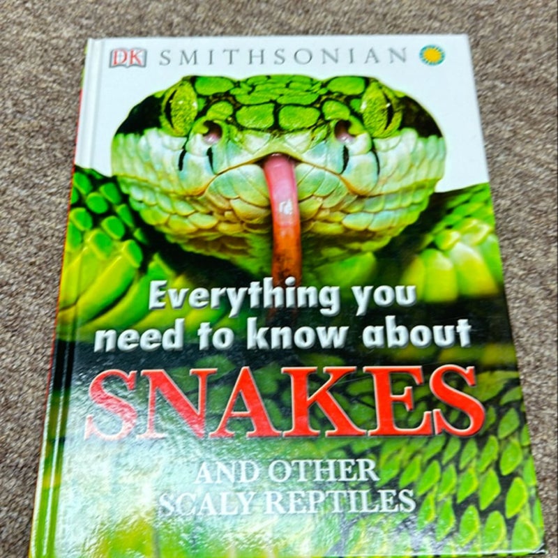 Everything You Need to Know about Snakes