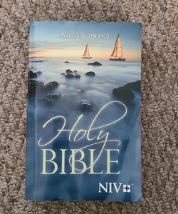 Niv Larger Print Bible
