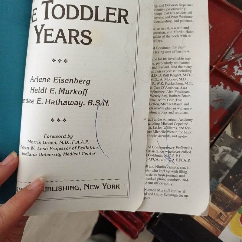 What to Expect the Toddler Years