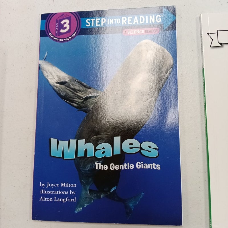 Whales: the Gentle Giants