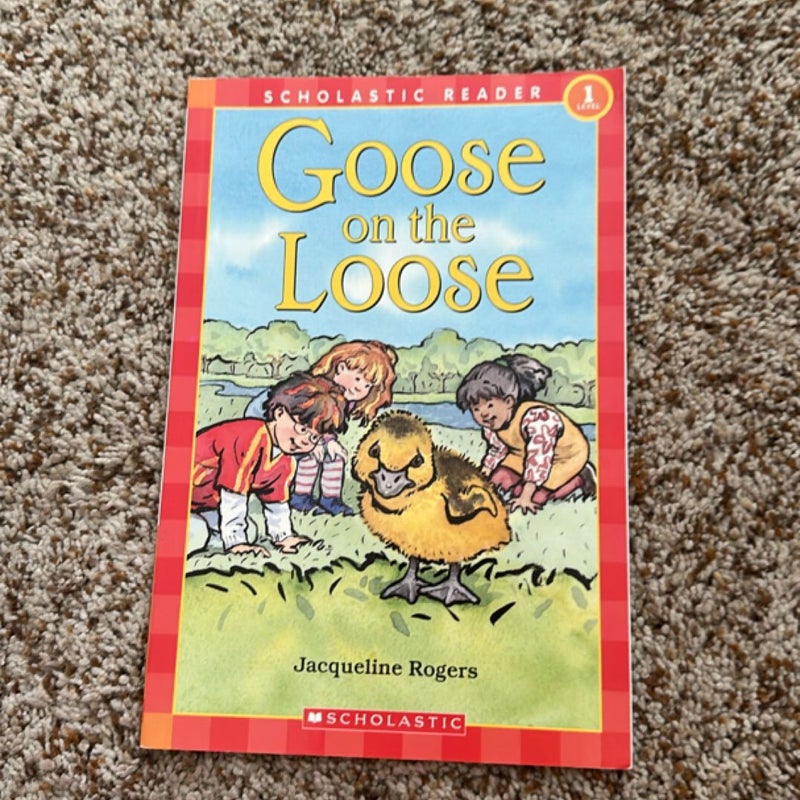 Goose on the Loose