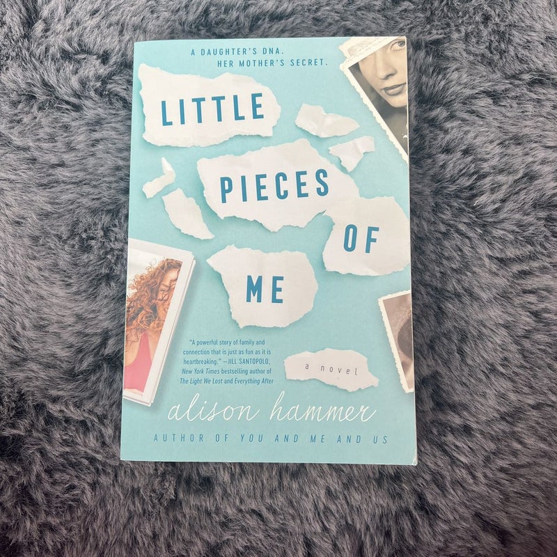 Buy Little Pieces of Me and You and Me and Us — Alison Hammer