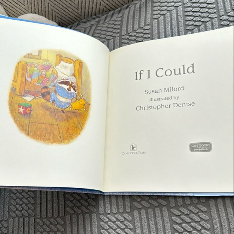 If I Could