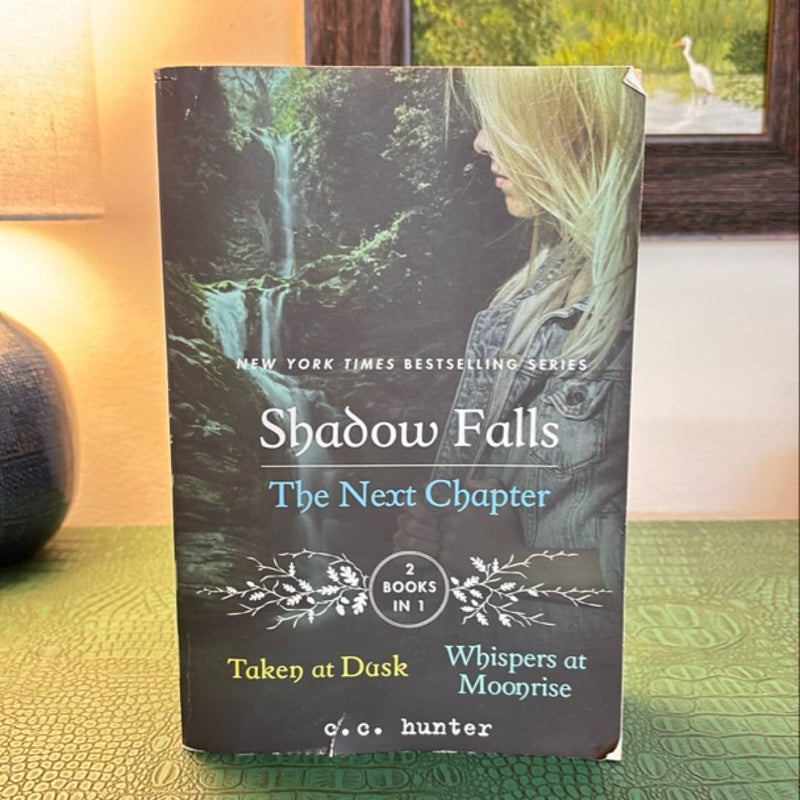 Shadow Falls: the Next Chapter