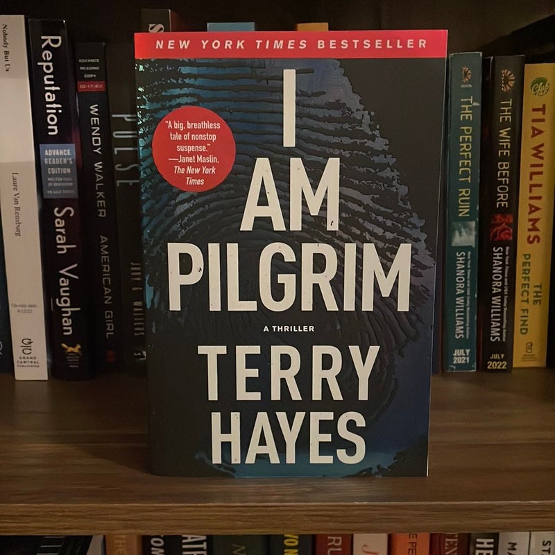 I Am Pilgrim