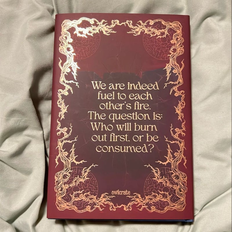 Exquisite Ruin *Owlcrate Exclusive Edition*