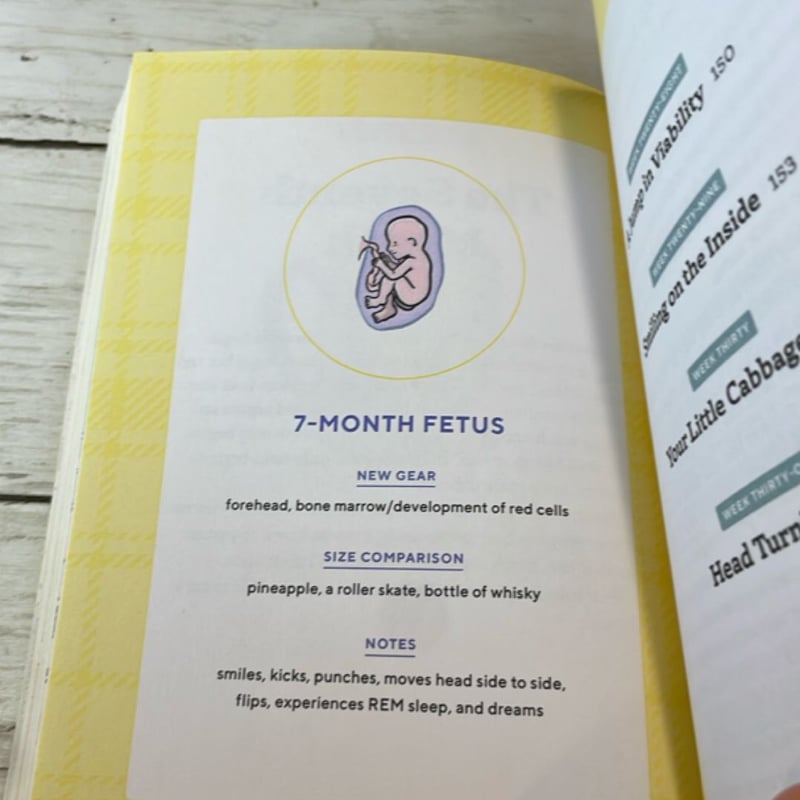 We're Pregnant! the First Time Dad's Pregnancy Handbook by Adrian Kulp