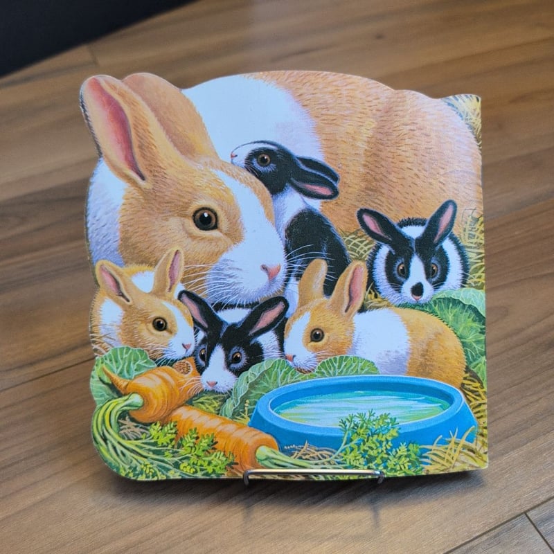 The Home is Best Book (1976)