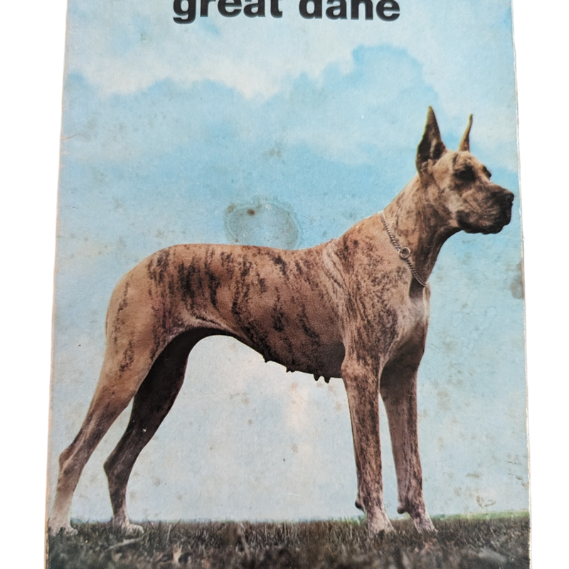 How to Raise & Train a Great Dane 