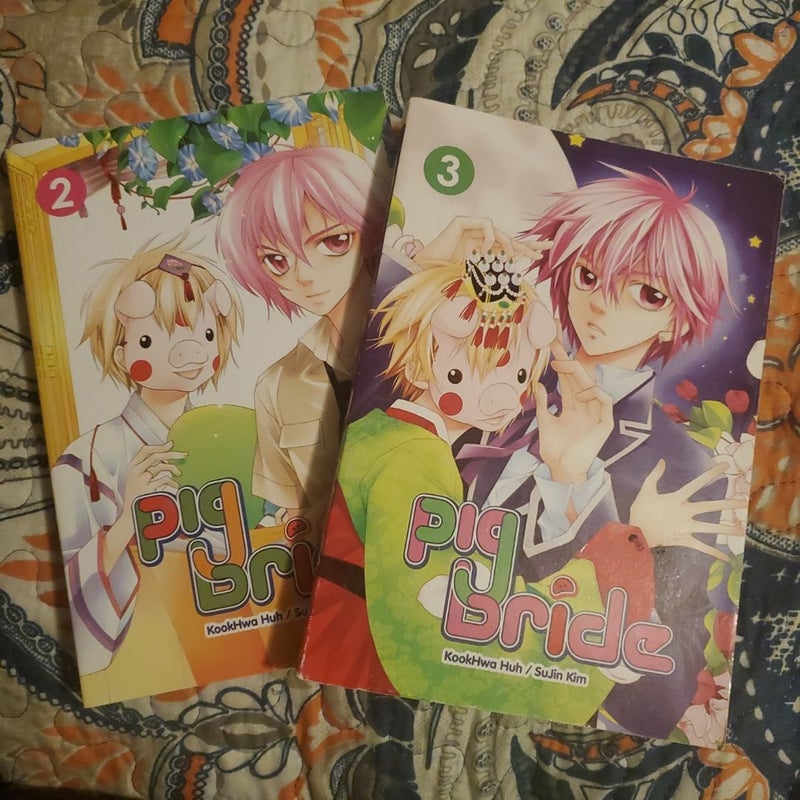 Pig Bride, Vol. 2-3