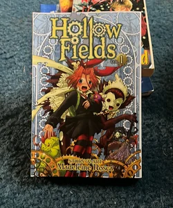 Hollow Fields