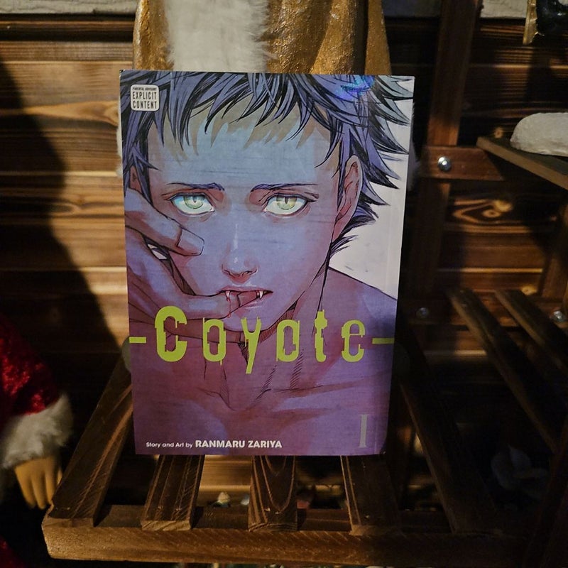 Coyote, Vol. 1