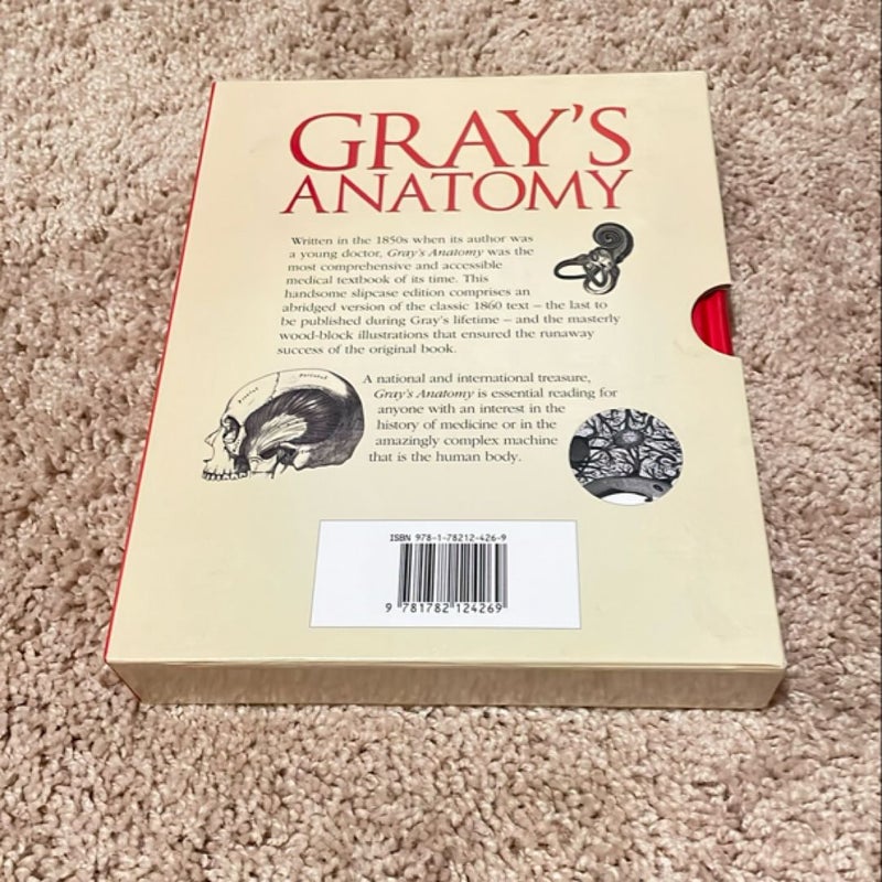 Gray's Anatomy