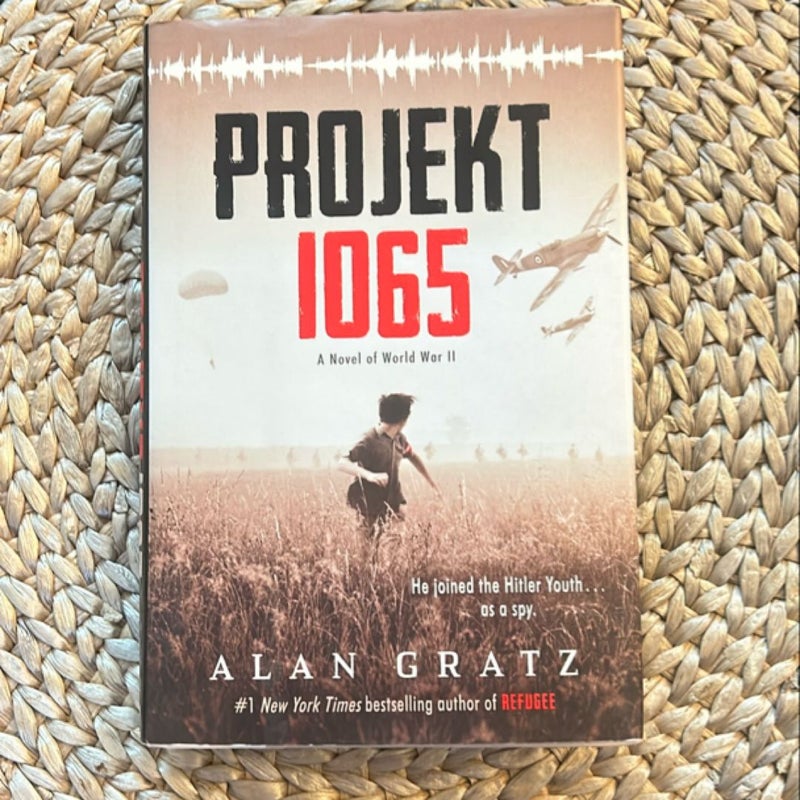 Projekt 1065