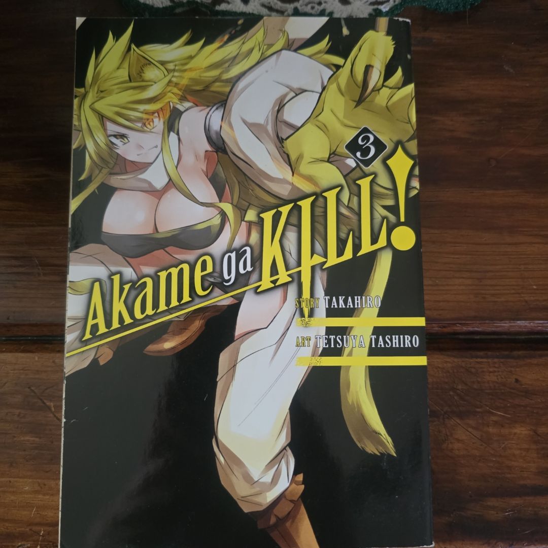 Akame Ga KILL!, Vol. 3