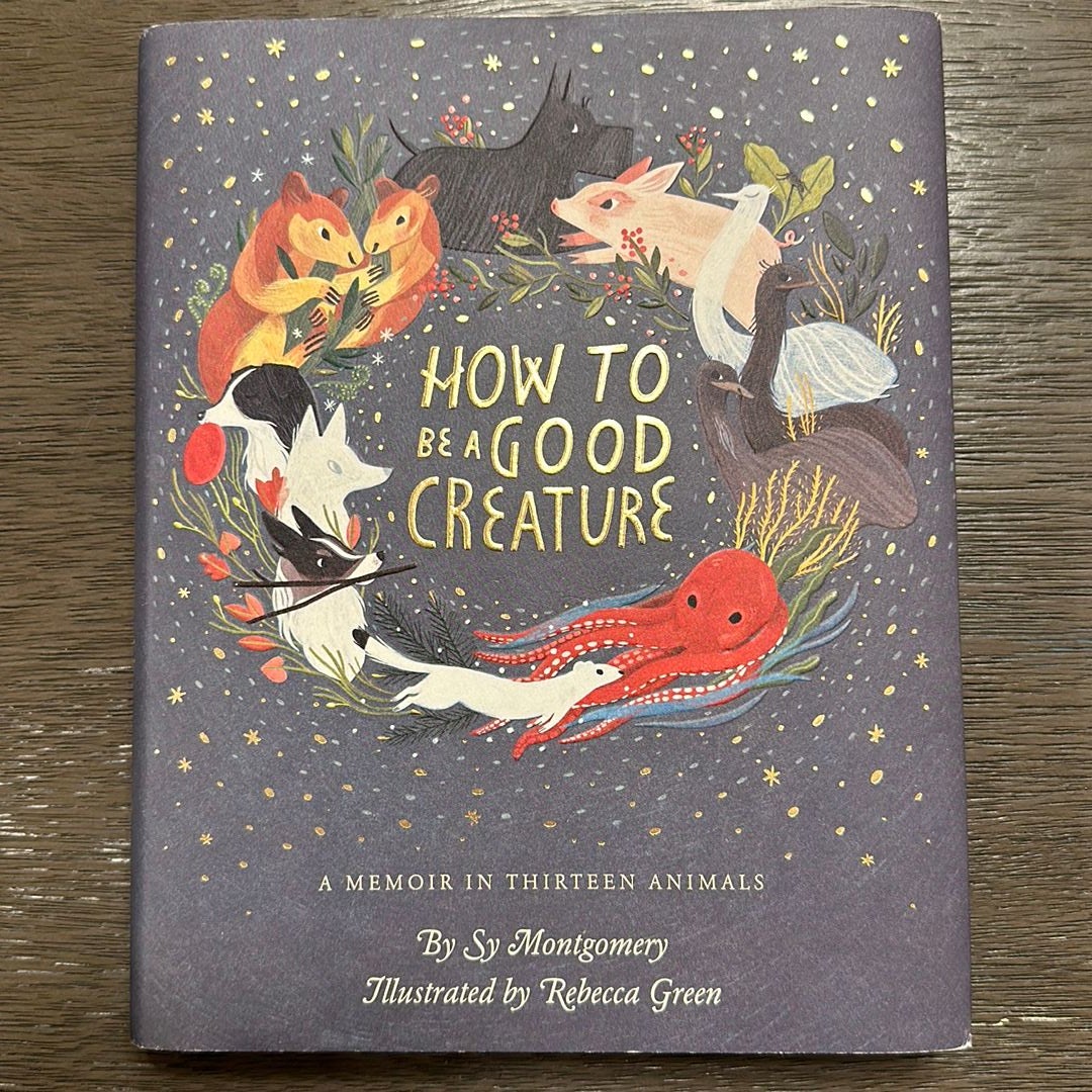 Sale image for b28f1f18-32c9-4031-a2a2-7a3c568a327b-ogQ1TZcbOeW8ECLqeCdiwybU42q2