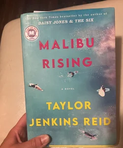 Malibu Rising