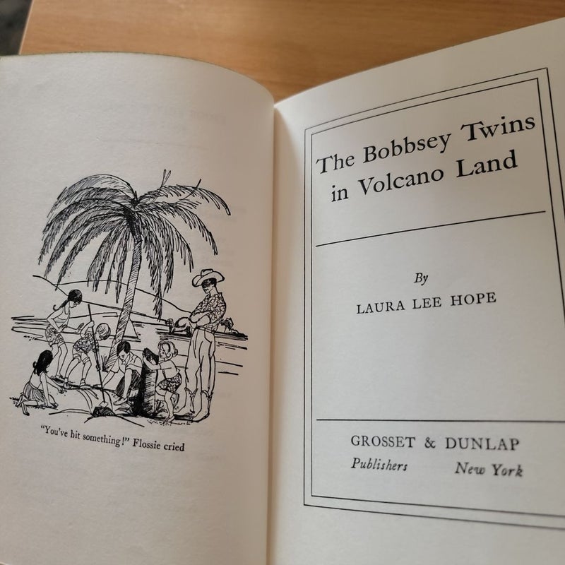 The Bobbsey Twins In Volcano Land