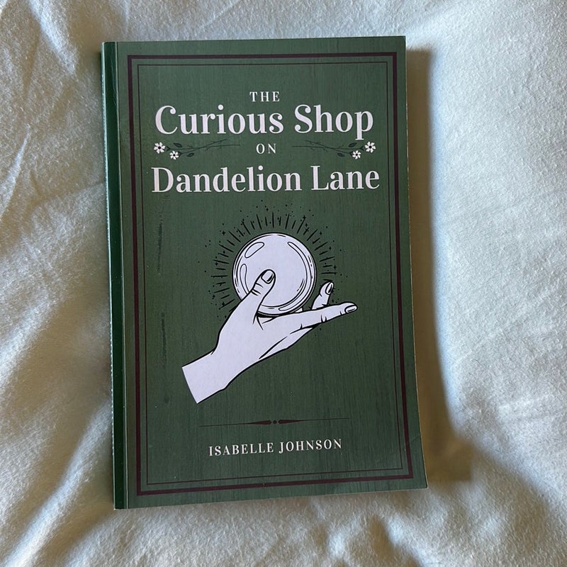 The Curious Shop on Dandelion Lane