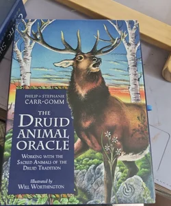 Druid Animal Oracle