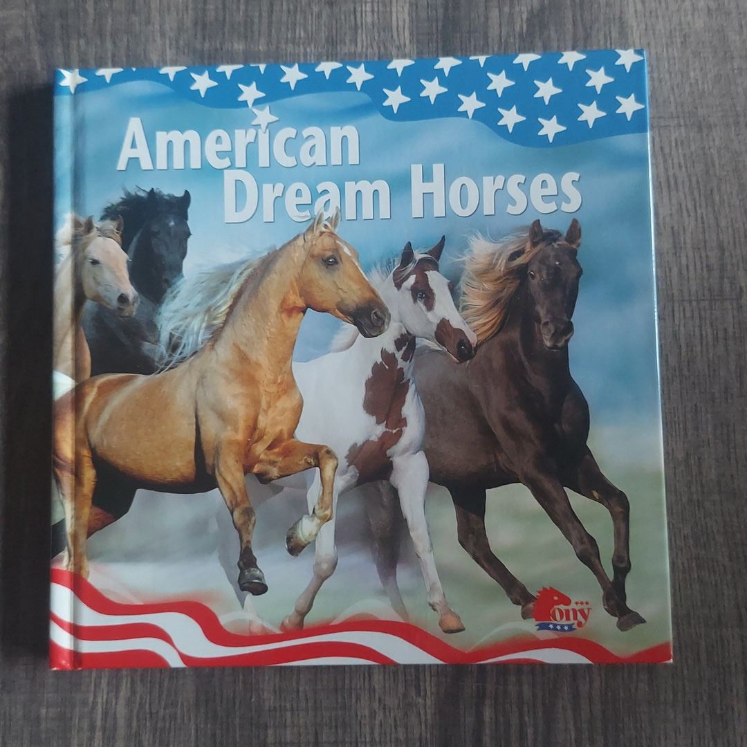 American Dream Horses