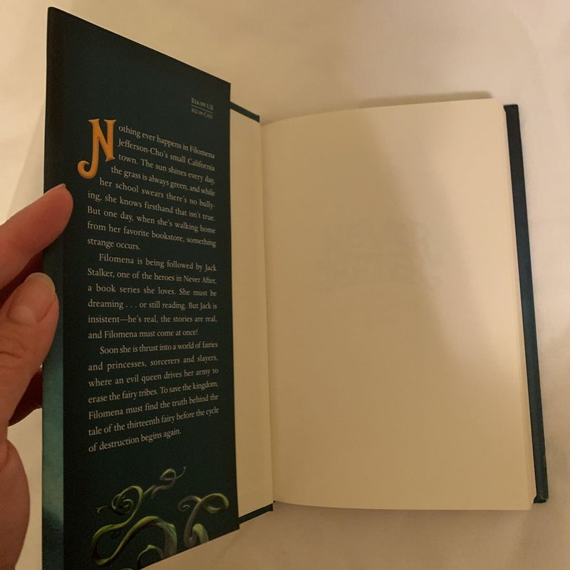 Never after: the Thirteenth Fairy