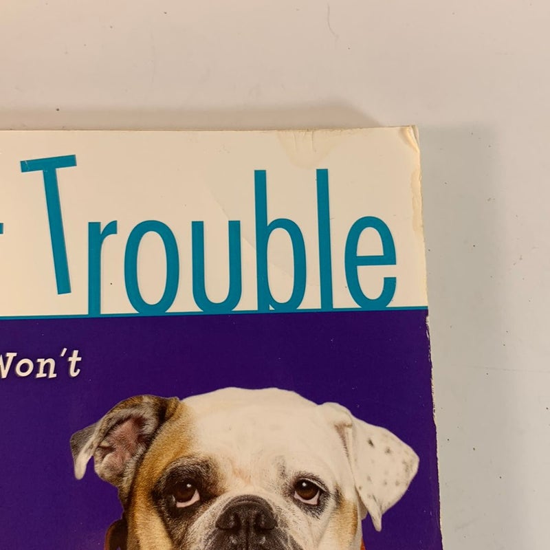 Pet Trouble 