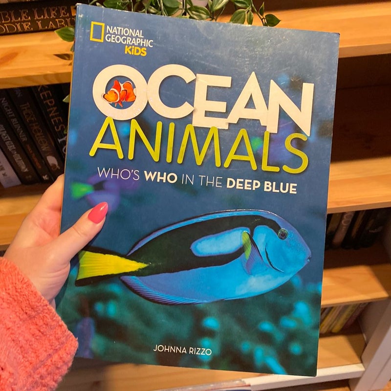 Ocean Animals