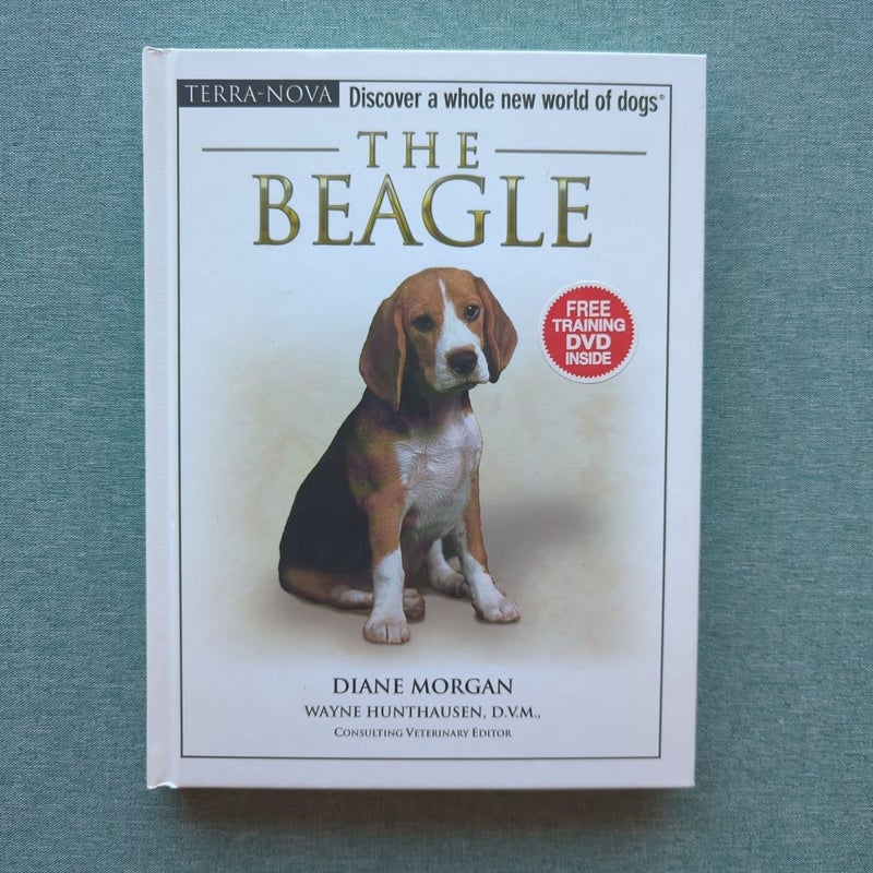 The Beagle