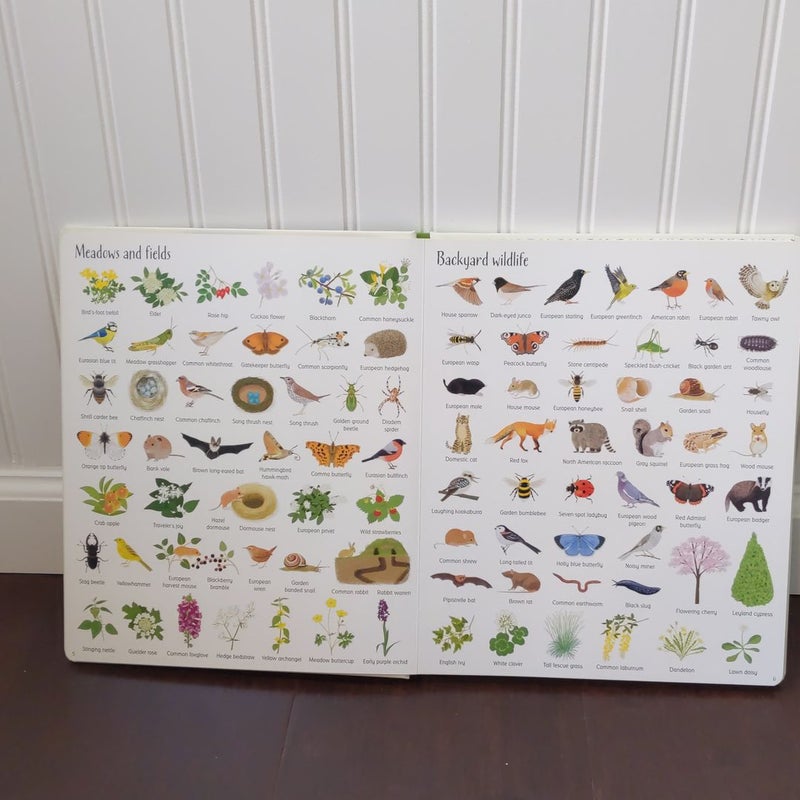 Usborne 1,000 Things in Nature