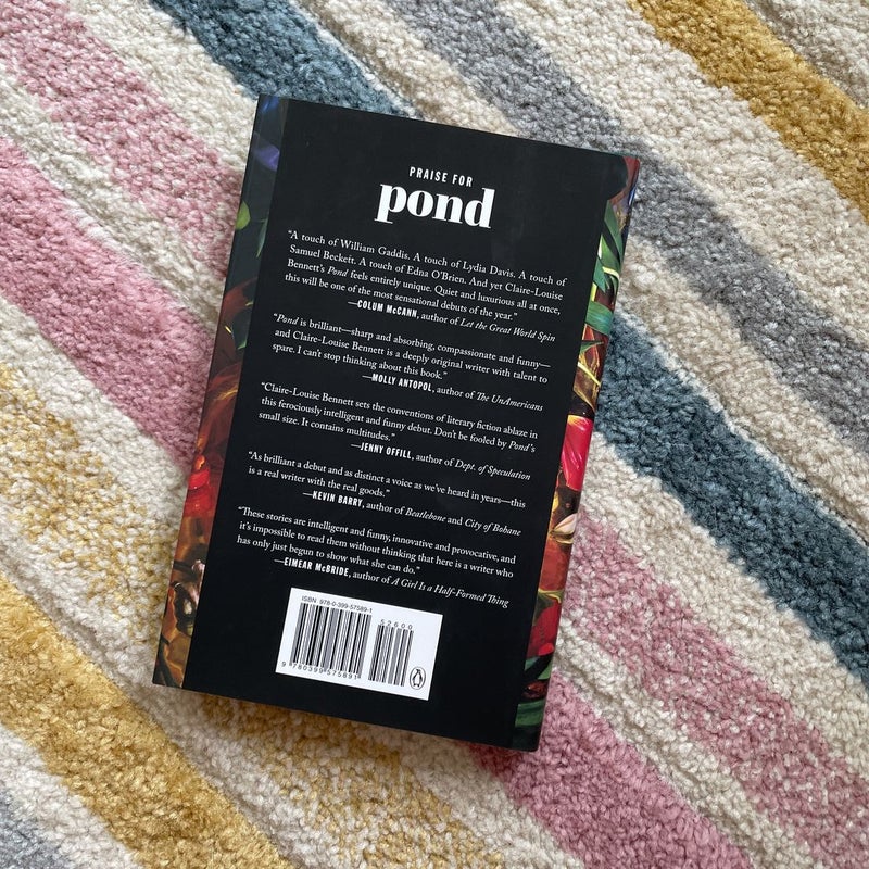 Pond