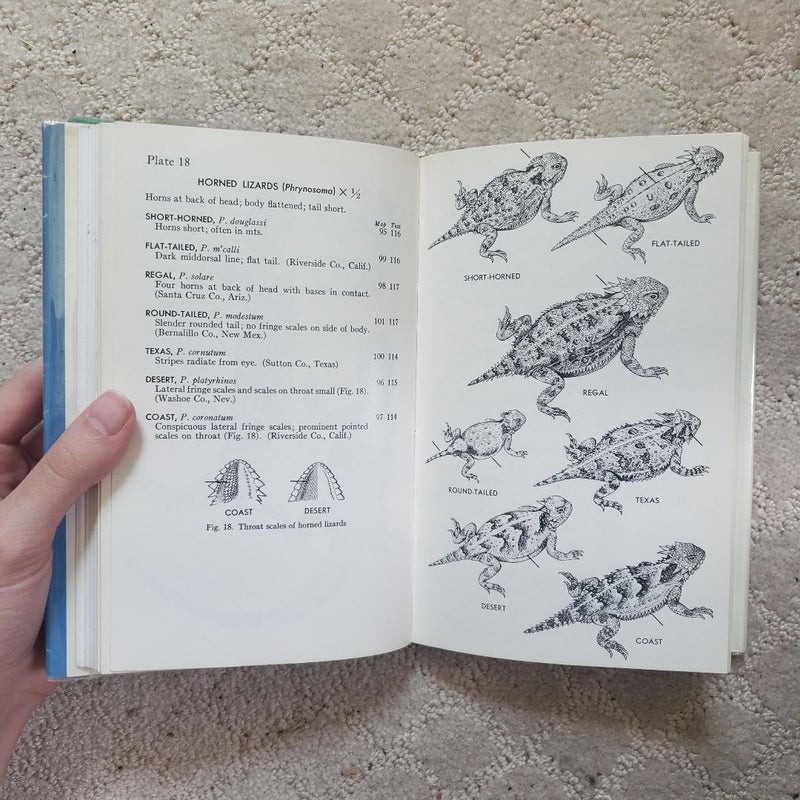 A Field Guide to Western Reptiles and Amphibians (1966)