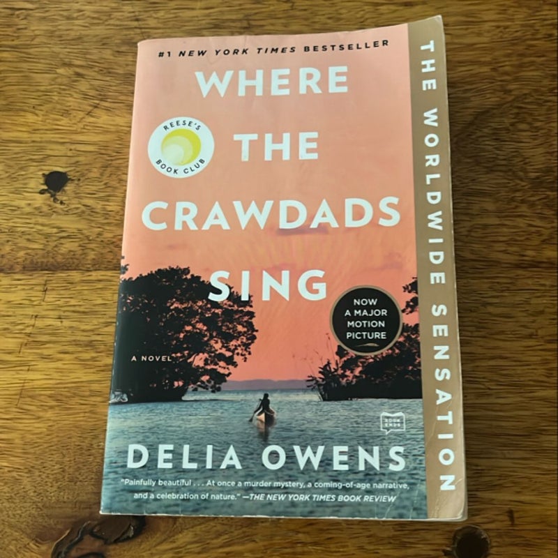 Where the Crawdads Sing